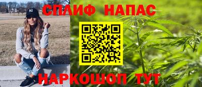 СК Моздок