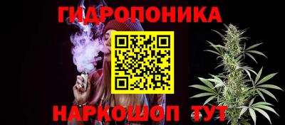 СК Моздок