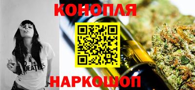 СК Моздок