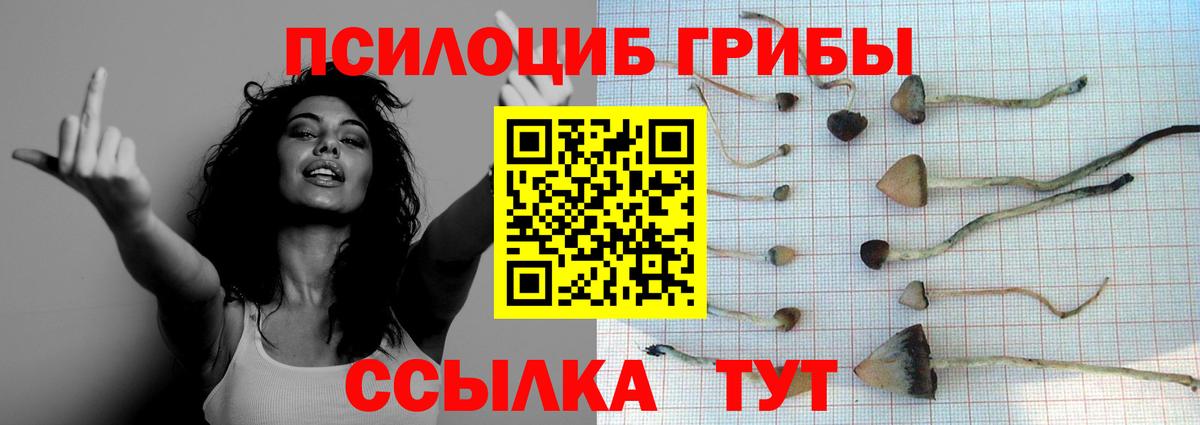 Псилоцибиновые грибы прущие грибы  Вход с VPN  Верхний Уфалей 